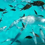 Mar Y Sol San Teodoro Lu Fraili Hébergement de vacances Nuragheddu