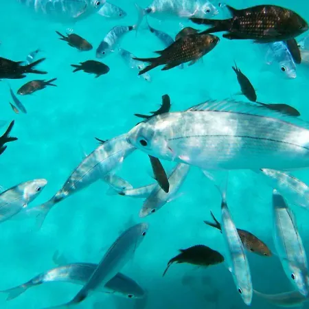 Mar Y Sol San Teodoro Lu Fraili Дом отдыха Nuragheddu